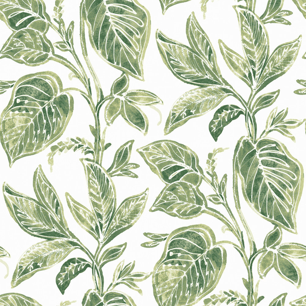 Mangrove Green Botanical Wallpaper by Chesapeake Sanibel Covers about 56.4 square feet 20.5-in by 33-ft long roll Prepasted 20.5 - Fabric Carolina -