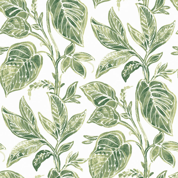 Mangrove Green Botanical Wallpaper by Chesapeake Sanibel Covers about 56.4 square feet 20.5-in by 33-ft long roll Prepasted 20.5 - Fabric Carolina -