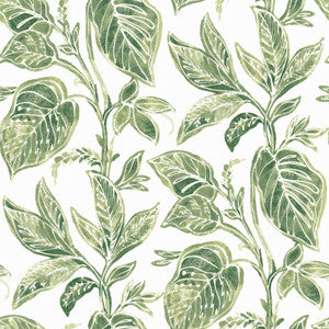 Mangrove Green Botanical Wallpaper by Chesapeake
