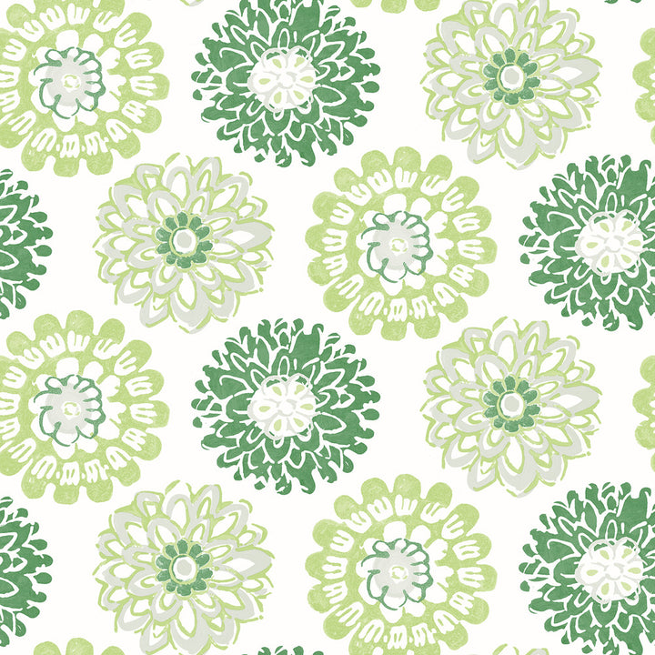 Sunkissed Green Floral Wallpaper by Chesapeake Sanibel Covers about 56.4 square feet 20.5-in by 33-ft long roll Prepasted 20.5 - Fabric Carolina -