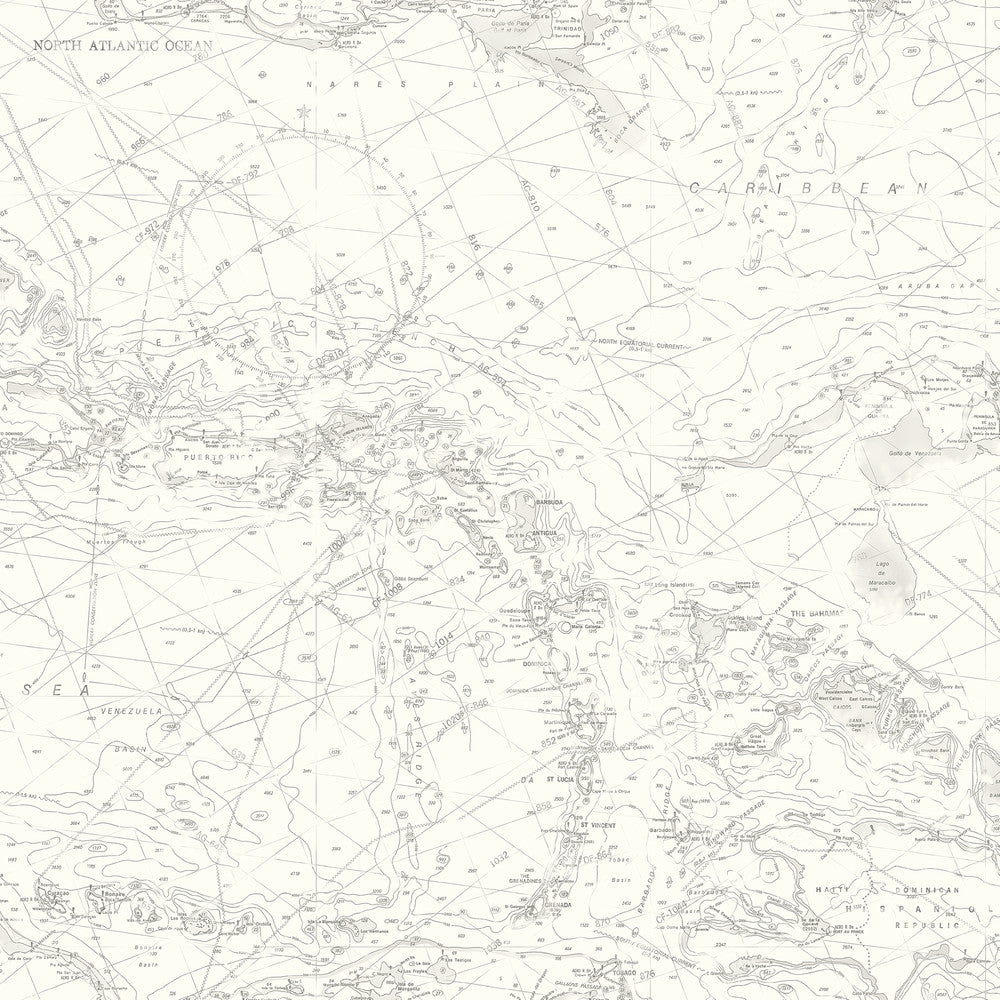Charts Grey Map Wallpaper by Chesapeake Sanibel Covers about 56.4 square feet 20.5-in by 33-ft long roll Prepasted 20.5 - Fabric Carolina -
