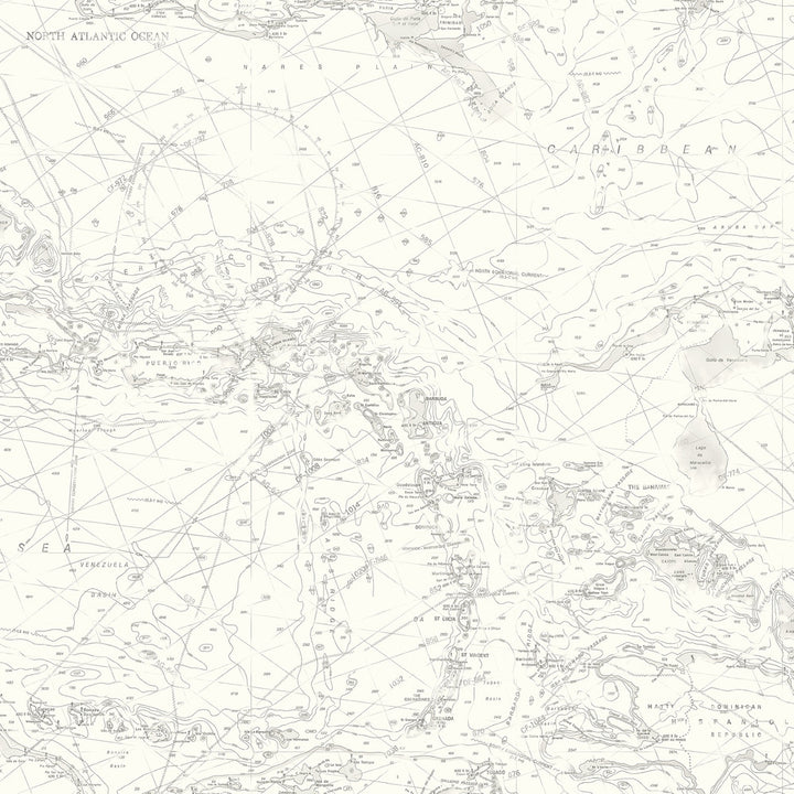 Charts Grey Map Wallpaper by Chesapeake Sanibel Covers about 56.4 square feet 20.5-in by 33-ft long roll Prepasted 20.5 - Fabric Carolina -