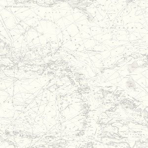 Charts Grey Map Wallpaper by Chesapeake