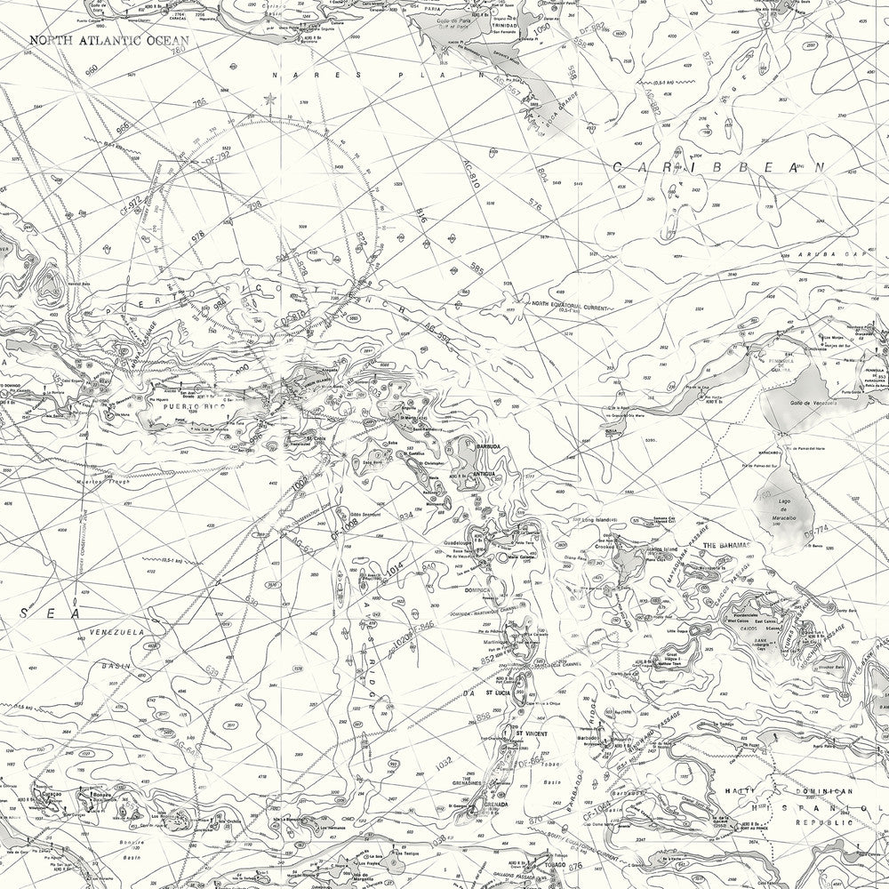 Charts Black Map Wallpaper by Chesapeake Sanibel Covers about 56.4 square feet 20.5-in by 33-ft long roll Prepasted 20.5 - Fabric Carolina -