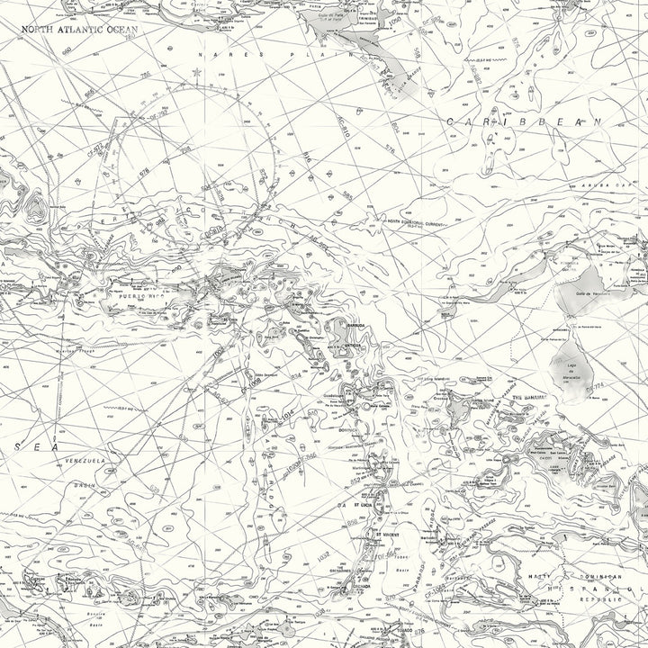 Charts Black Map Wallpaper by Chesapeake Sanibel Covers about 56.4 square feet 20.5-in by 33-ft long roll Prepasted 20.5 - Fabric Carolina -