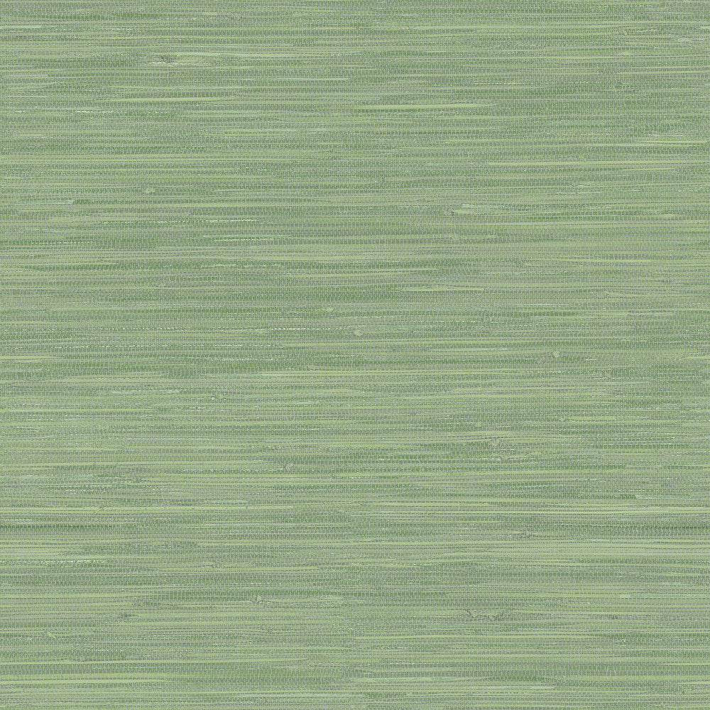 Waverly Green Grasscloth Wallpaper by Chesapeake Sanibel Covers about 56.4 square feet 20.5-in by 33-ft long roll Prepasted 20.5 - Fabric Carolina -