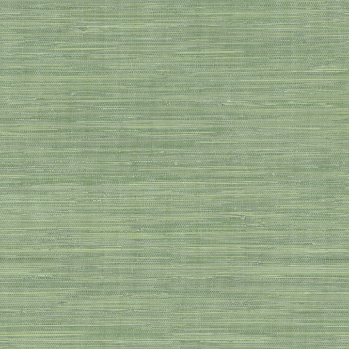 Waverly Green Grasscloth Wallpaper by Chesapeake Sanibel Covers about 56.4 square feet 20.5-in by 33-ft long roll Prepasted 20.5 - Fabric Carolina -