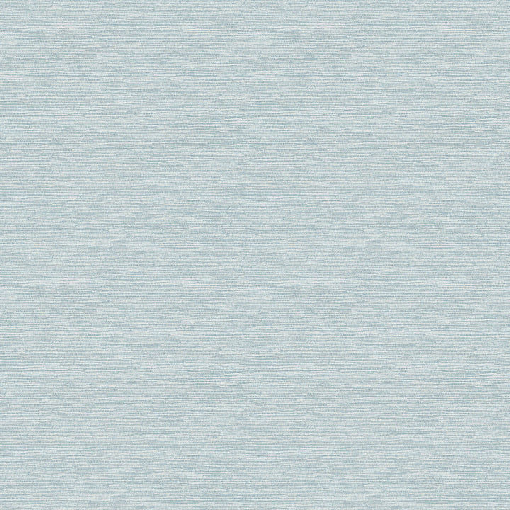 Gump Light Blue Faux Grasscloth Wallpaper by Chesapeake Flora & Fauna Covers about 56.4 square feet 20.5-in by 33-ft long roll Prepasted 20.5 - Fabric Carolina -
