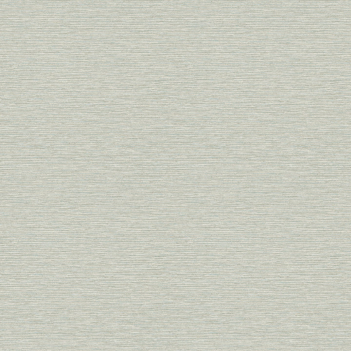 Gump Seafoam Faux Grasscloth Wallpaper by Chesapeake Homestead Covers about 56.4 square feet 20.5-in by 33-ft long roll Prepasted 20.5 - Fabric Carolina -
