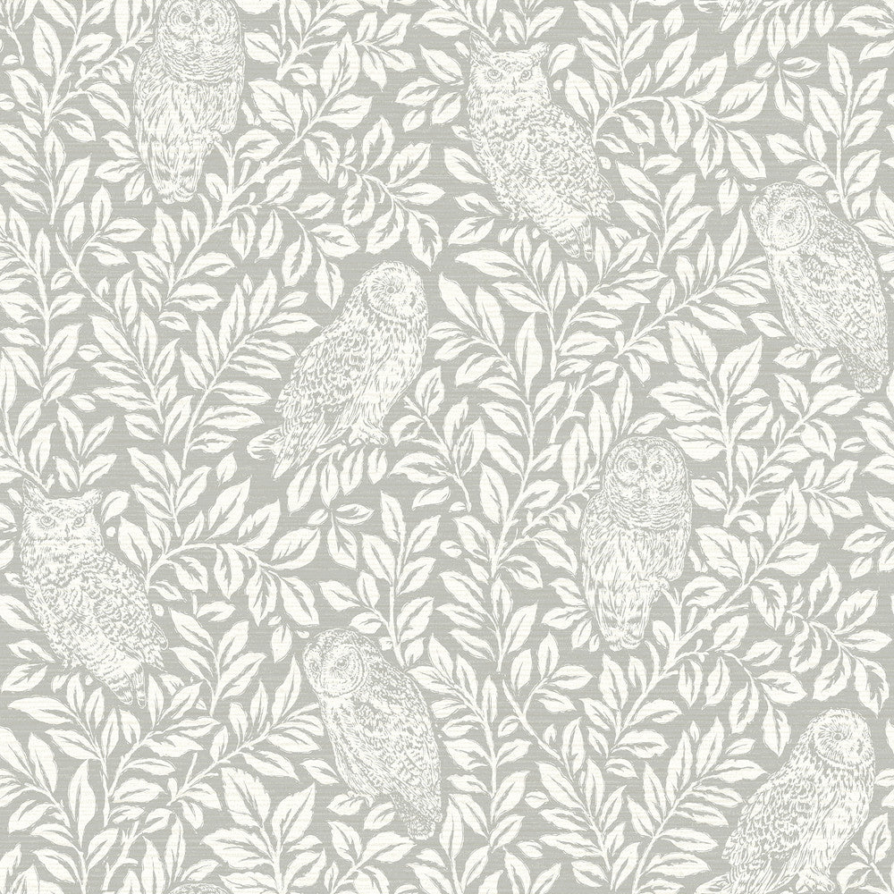 Parliament Grey Owl Wallpaper by Chesapeake Homestead Covers about 56.4 square feet 20.5-in by 33-ft long roll Prepasted 20.5 - Fabric Carolina -