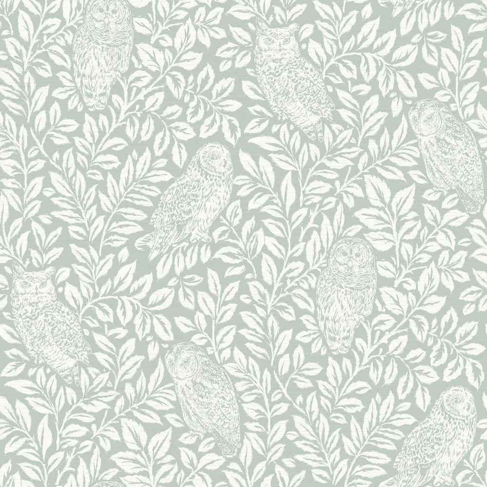 Parliament Seafoam Owl Wallpaper by Chesapeake Homestead Covers about 56.4 square feet 20.5-in by 33-ft long roll Prepasted 20.5 - Fabric Carolina -