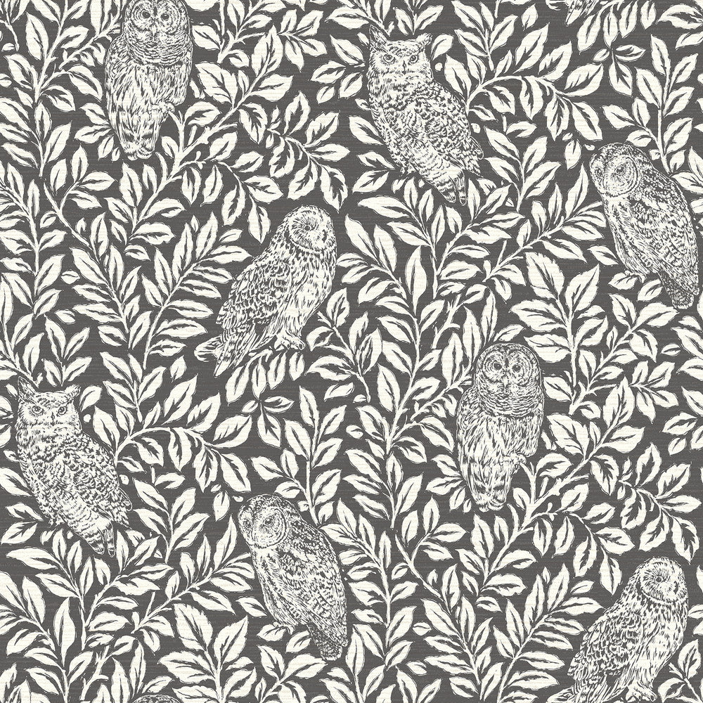 Parliament Charcoal Owl Wallpaper by Chesapeake Homestead Covers about 56.4 square feet 20.5-in by 33-ft long roll Prepasted 20.5 - Fabric Carolina -