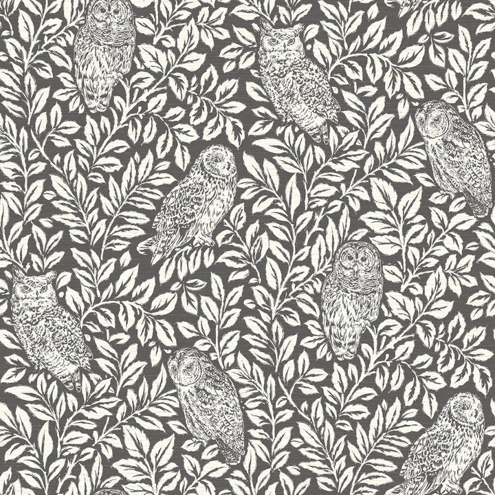 Parliament Charcoal Owl Wallpaper by Chesapeake Homestead Covers about 56.4 square feet 20.5-in by 33-ft long roll Prepasted 20.5 - Fabric Carolina -