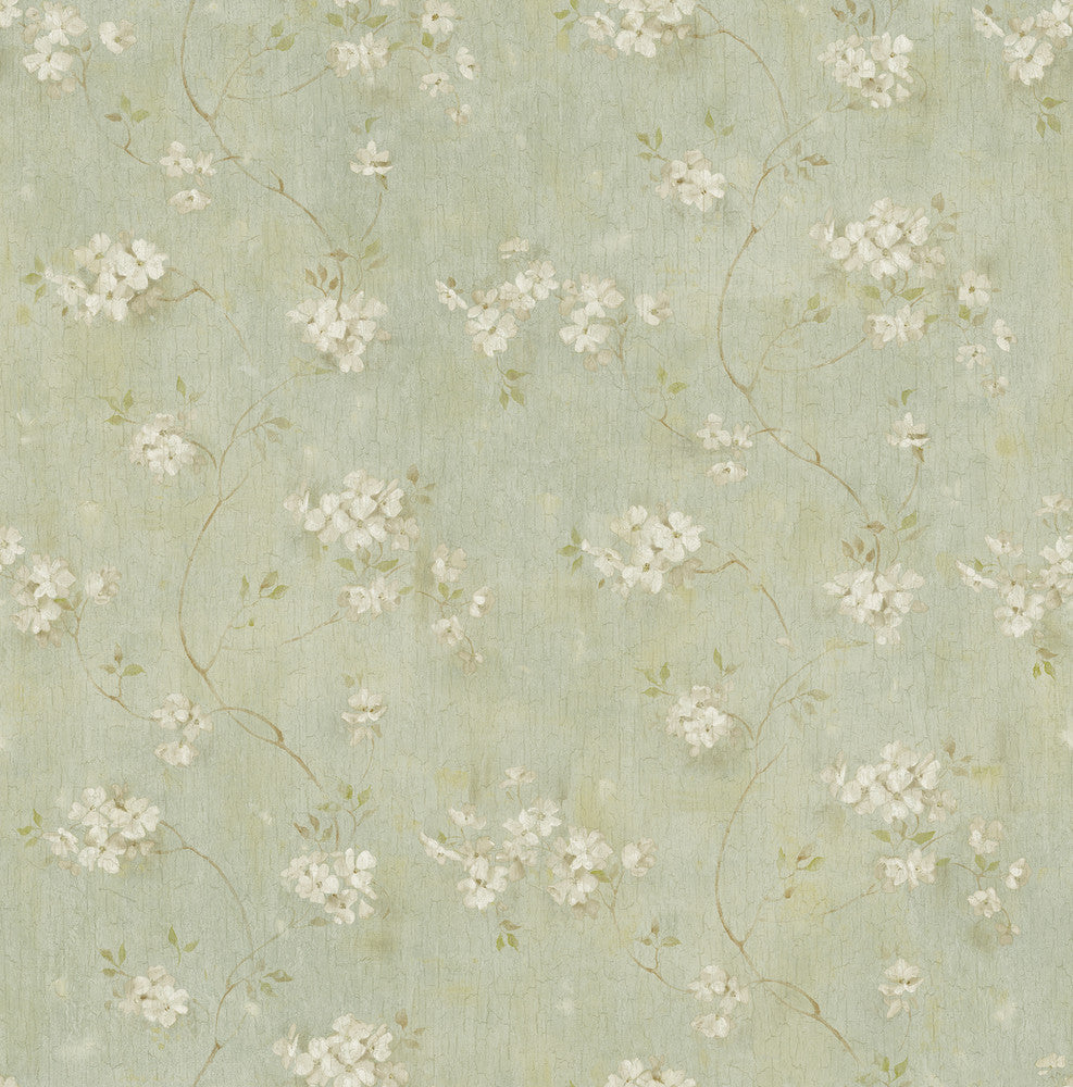 Braham Aqua Floral Trail Wallpaper by Chesapeake Homestead Covers about 56.4 square feet 20.5-in by 33-ft long roll Prepasted 20.5 - Fabric Carolina -