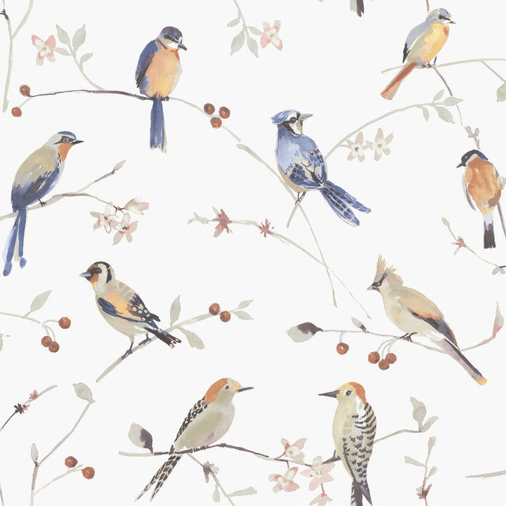Birdsong Orange Trail Wallpaper by Chesapeake Thoreau Covers about 56.4 square feet 20.5-in by 33-ft long roll Prepasted 20.5 - Fabric Carolina -