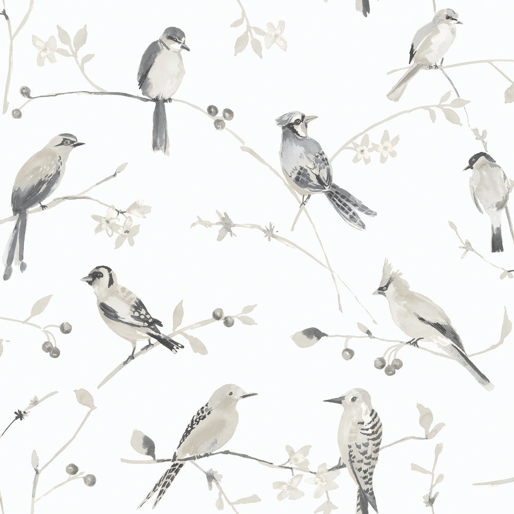 Birdsong Grey Trail Wallpaper by Chesapeake Thoreau Covers about 56.4 square feet 20.5-in by 33-ft long roll Prepasted 20.5 - Fabric Carolina -