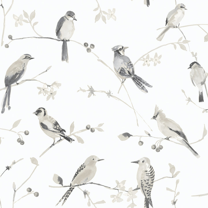 Birdsong Grey Trail Wallpaper by Chesapeake Thoreau Covers about 56.4 square feet 20.5-in by 33-ft long roll Prepasted 20.5 - Fabric Carolina -