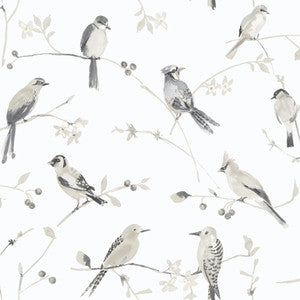 Birdsong Grey Trail Wallpaper by Chesapeake