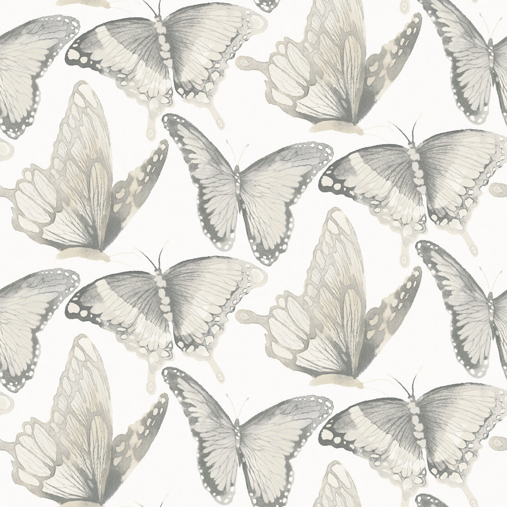 Janetta Grey Butterfly Wallpaper by Chesapeake Thoreau Covers about 56.4 square feet 20.5-in by 33-ft long roll Prepasted 10.25 - Fabric Carolina -