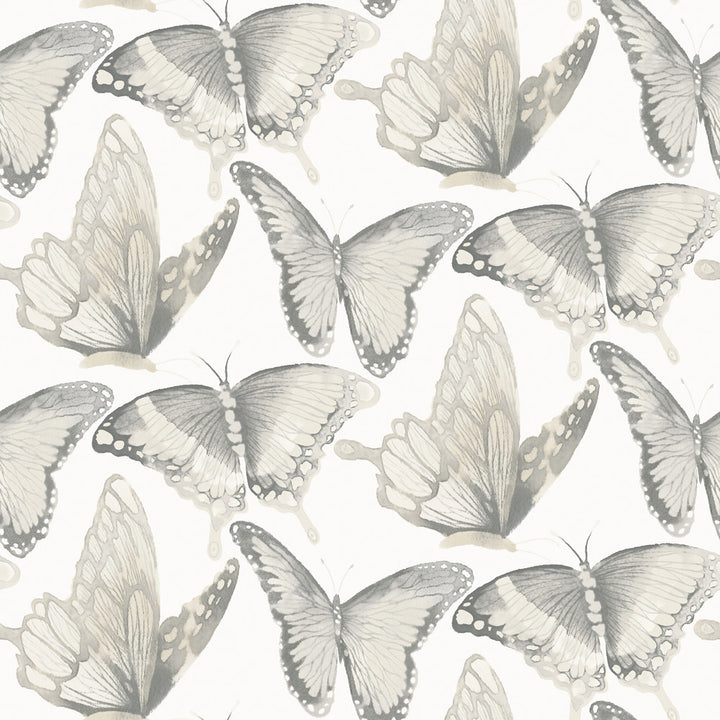 Janetta Grey Butterfly Wallpaper by Chesapeake Thoreau Covers about 56.4 square feet 20.5-in by 33-ft long roll Prepasted 10.25 - Fabric Carolina -