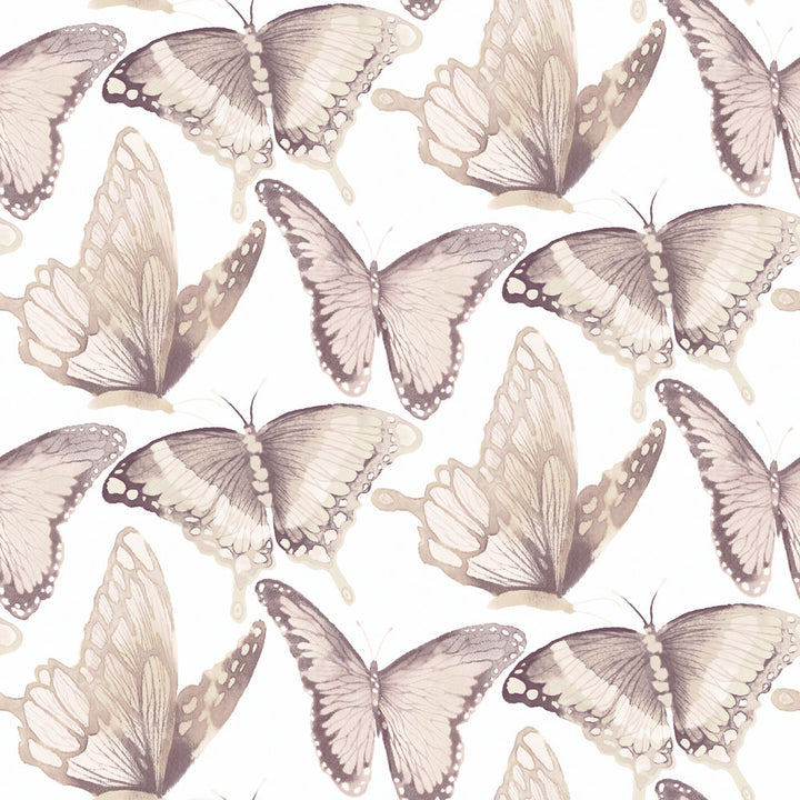 Janetta Blush Butterfly Wallpaper by Chesapeake Thoreau Covers about 56.4 square feet 20.5-in by 33-ft long roll Prepasted 10.25 - Fabric Carolina -