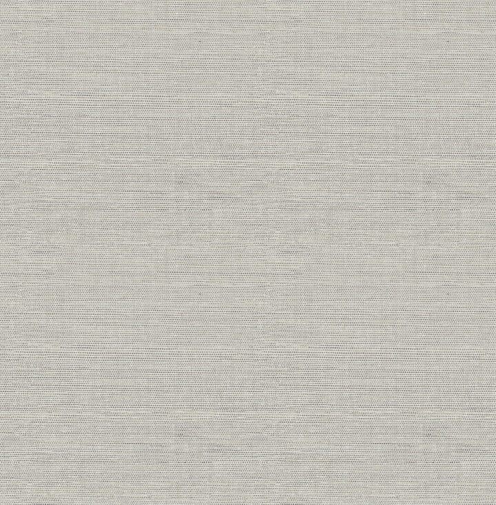 Agave Grey Faux Grasscloth Wallpaper by Chesapeake Thoreau Covers about 56.4 square feet 20.5-in by 33-ft long roll Unpasted 20.9 - Fabric Carolina -