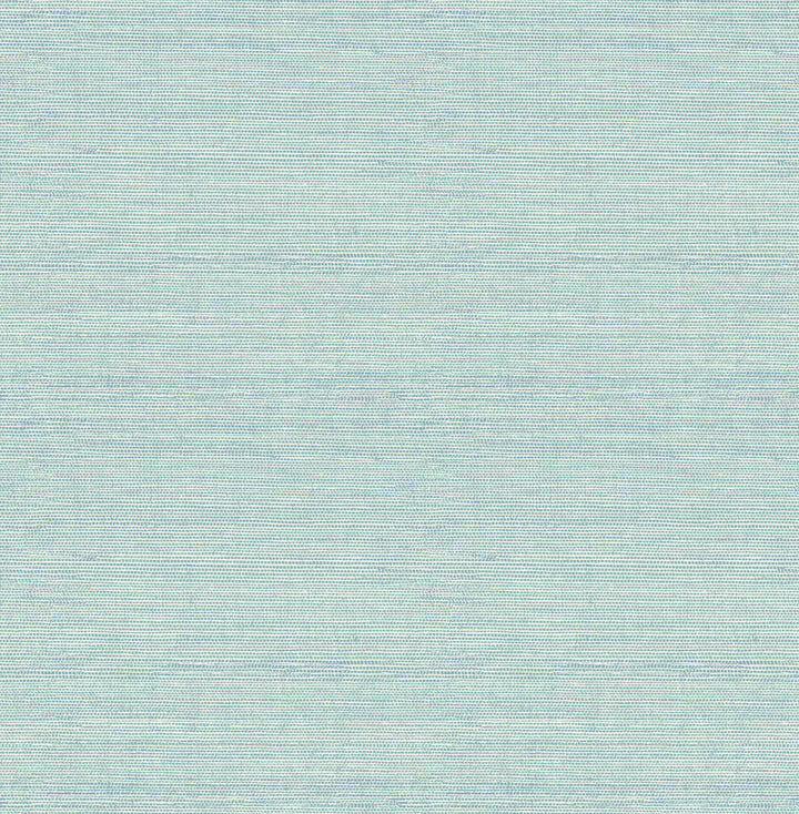 Agave Aqua Faux Grasscloth Wallpaper by Chesapeake Thoreau Covers about 56.4 square feet 20.5-in by 33-ft long roll Unpasted 20.9 - Fabric Carolina -