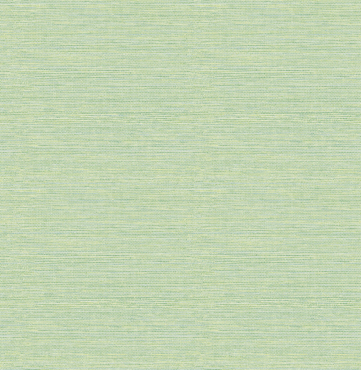 Agave Green Faux Grasscloth Wallpaper by Chesapeake Thoreau Covers about 56.4 square feet 20.5-in by 33-ft long roll Unpasted 20.9 - Fabric Carolina -