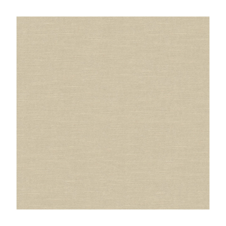 Venetian Sand by Kravet Design Fabric RAYON - 49%;COTTON - 42%;POLYESTER - 9% United States HEAVY Horizontal: and Vertical: 54 - Fabric Carolina -