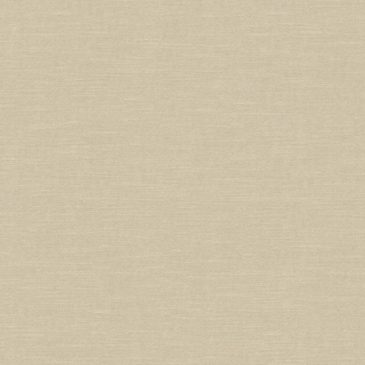 Venetian Sand by Kravet Design Fabric