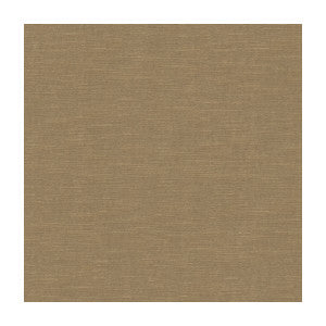 Venetian Cloud by Kravet Fabric