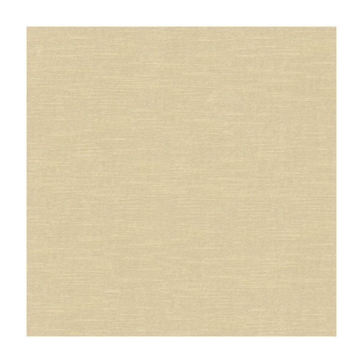 Venetian Beach by Kravet Design Fabric RAYON - 49%;COTTON - 42%;POLYESTER - 9% United States HEAVY Horizontal: and Vertical: 54 - Fabric Carolina -