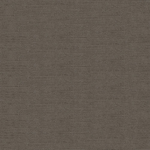 Venetian Dove by Kravet Design Fabric