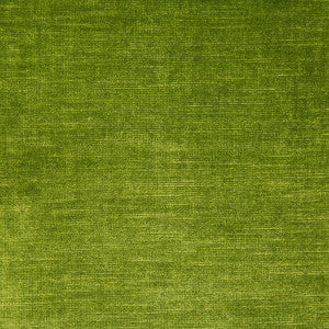 Venetian Grass by Kravet Design Fabric