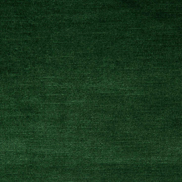 Venetian Forest by Kravet Design Fabric RAYON - 49%;COTTON - 42%;POLYESTER - 9% United States HEAVY Horizontal: and Vertical: 54 - Fabric Carolina -