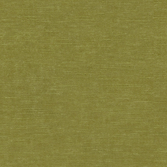 Venetian Moss by Kravet Design Fabric