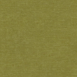 Venetian Moss by Kravet Design Fabric