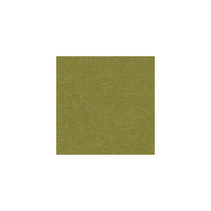Venetian Moss by Kravet Fabric