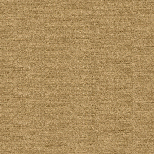 Venetian Gold by Kravet Design Fabric