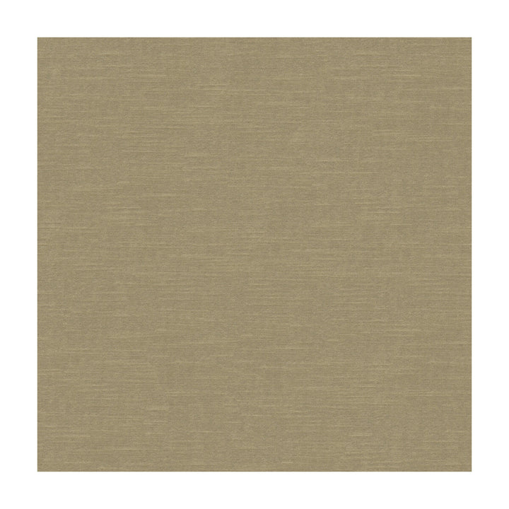 Venetian Birch by Kravet Design Fabric Kravet Design Fabric Venetian BirchFabric RAYON - 49%;COTTON - 42%;POLYESTER - 9% United States </p><p>Repeat: H: , V: 54 - Fabric Carolina -