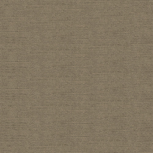 Venetian Putty by Kravet Design Fabric