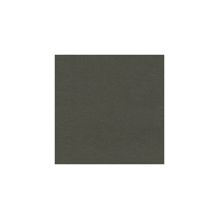 31365-21 by Kravet Design Fabric SILK - 100% India Horizontal: and Vertical: 51 - Fabric Carolina -