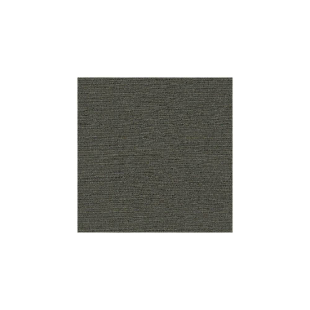 31365-21 by Kravet Design Fabric SILK - 100% India Horizontal: and Vertical: 51 - Fabric Carolina -