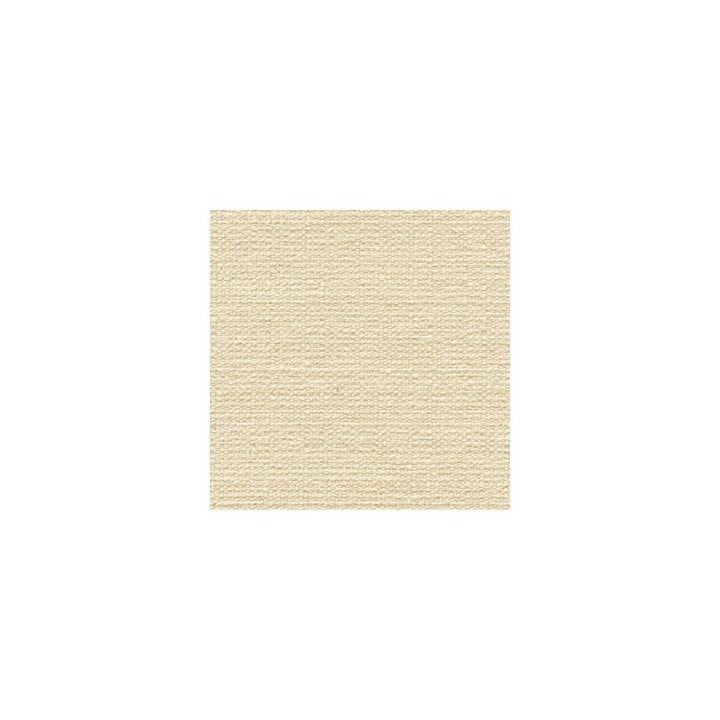 31430-1 by Kravet Basics Fabric GIS RAYON - 54%;POLYESTER - 24%;COTTON - 21%;NYLON - 1% United States HEAVY Horizontal: and Vertical: 54 - Fabric Carolina -