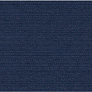 31430.50.0 by Kravet Fabric