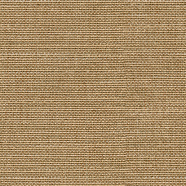 Sino Cloth Kumquat by Kravet Couture Fabric
