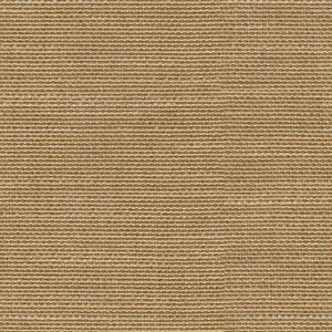 Sino Cloth Kumquat by Kravet Couture Fabric