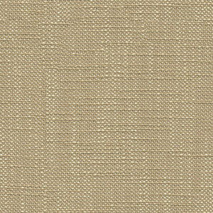 31498.16.0 by Kravet Fabric