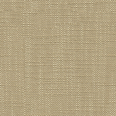 31498.16.0 by Kravet Fabric Kravet Fabric 31498.16.0Fabric PERFECT PLAINS POLYESTER - 100% China </p><p>Repeat: H: , V: 57 - Fabric Carolina -