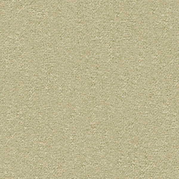 Favone Pewter by Kravet Basics Fabric
